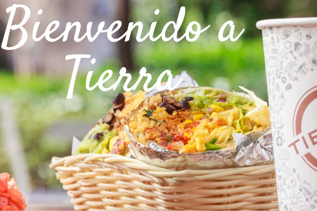 Tierra Burrito Bar - Burrito