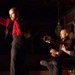 Torres Bermejas Flamenco - Flamenco bailaor