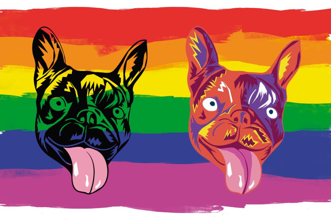 El Bulldog Bar - Bandera gay